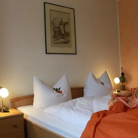 فندق Gruener Baum 3*