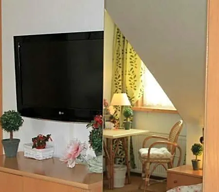 Otel Gruener Baum